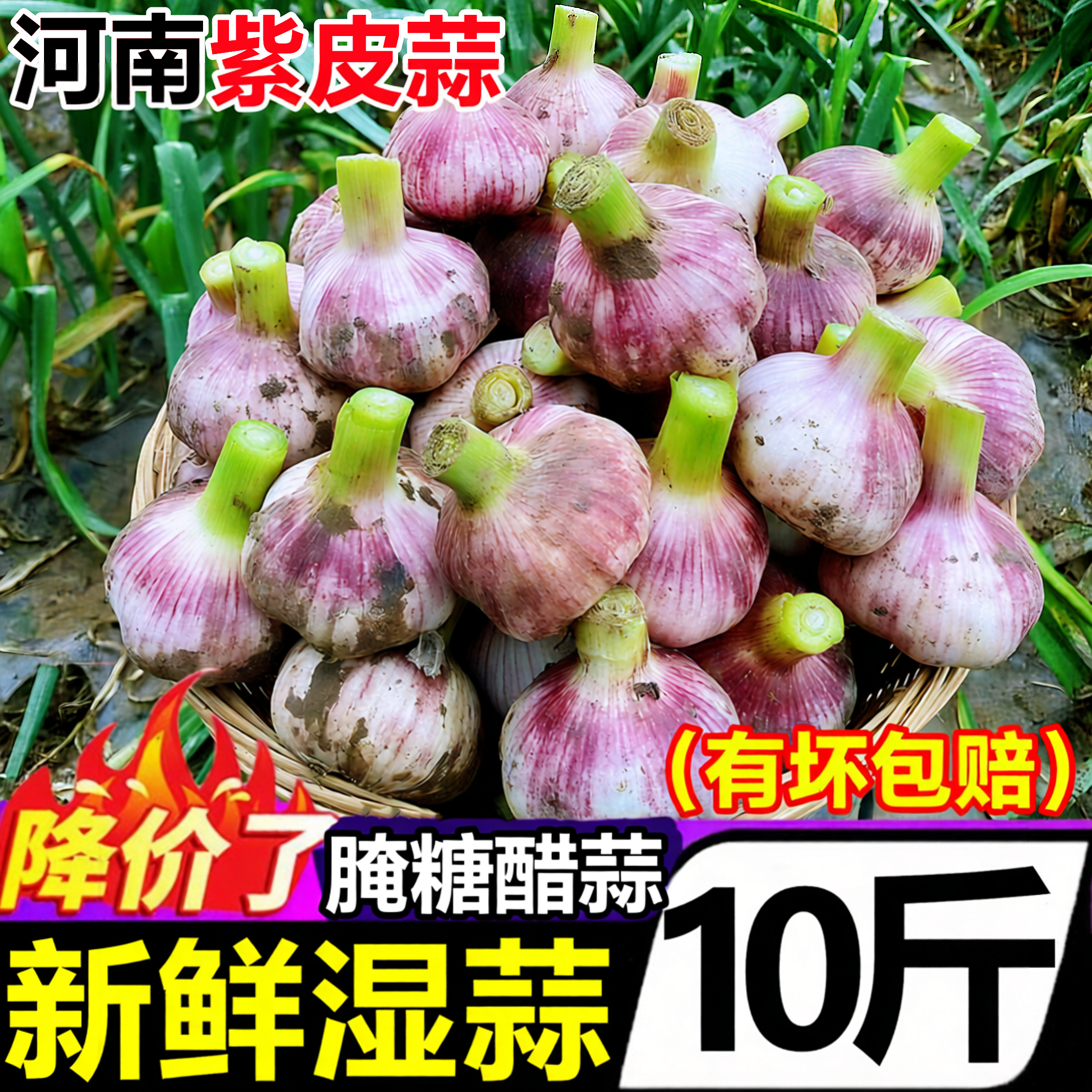 2026年河南紫白皮新鲜大蒜头嫩蒜湿蒜10斤当季现农家挖多瓣蒜整箱