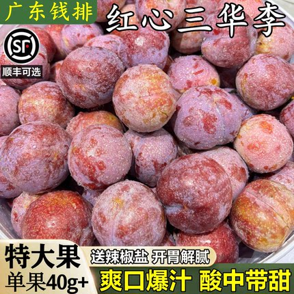 正宗广东茂名钱排三华李子新鲜水果9斤当季红心腌制脆甜酸爽整箱