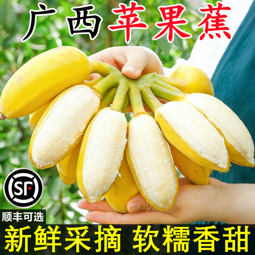 【正宗广西苹果蕉】已上热销榜！