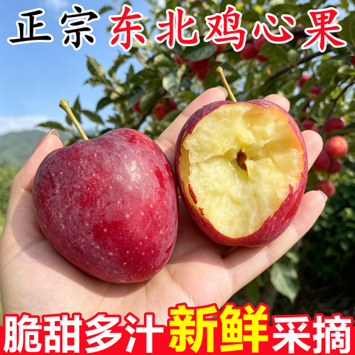 【正宗东北鸡心果】已上热销榜！