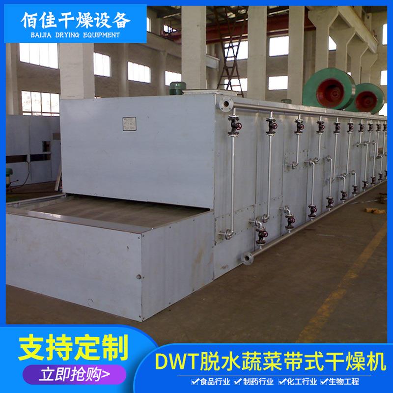 厂家供应DWT脱水蔬菜带式干燥机多层带式干燥机粮食干燥设备