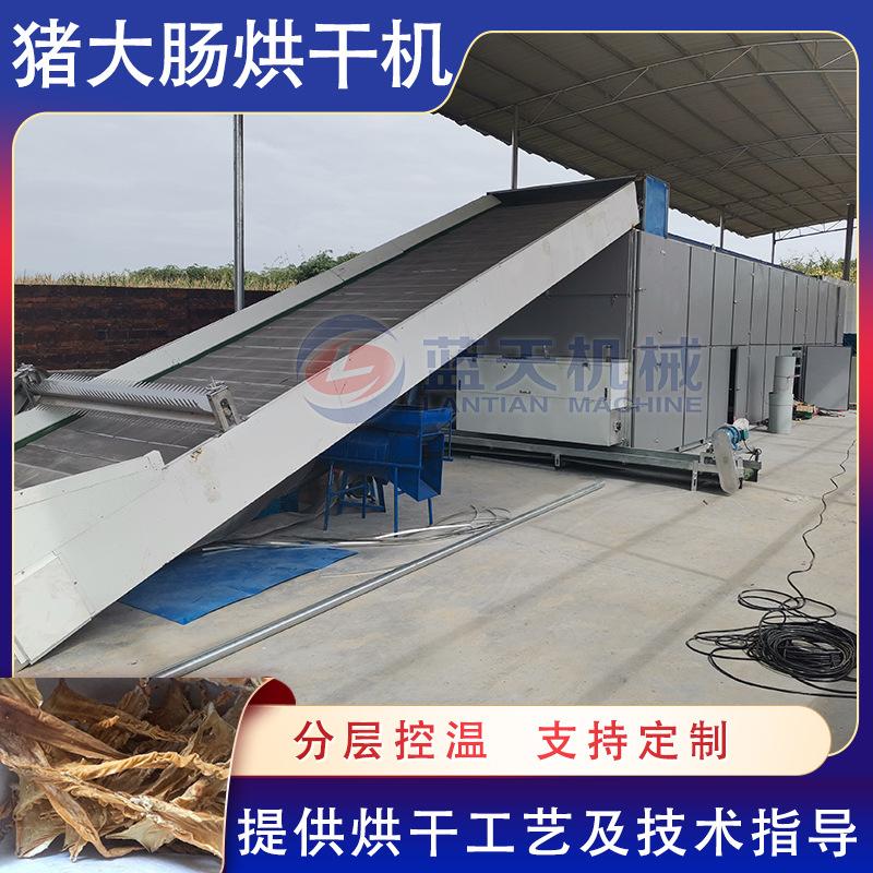 肉肠烘干设备 腊肠土猪大肠米糠肉肠肠衣干燥机 网带猪大肠烘干机
