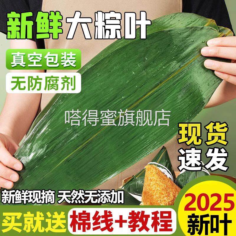 粽叶新鲜粽子叶大号包粽子专用旗舰店包粽子专用端午节商用干