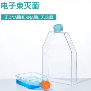 比克曼生物无菌细胞培养螺口T75贴壁细胞T25密封透气盖矩形