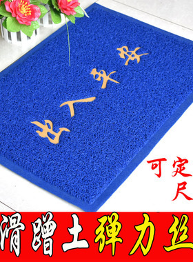 蓝色入户大门口进门地垫家用出入平安门垫塑料欢迎光临迎宾红地毯