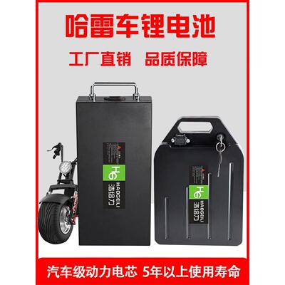 哈雷电动车锂电池60V20A可拆卸电瓶启牛踏板车通用锂电池