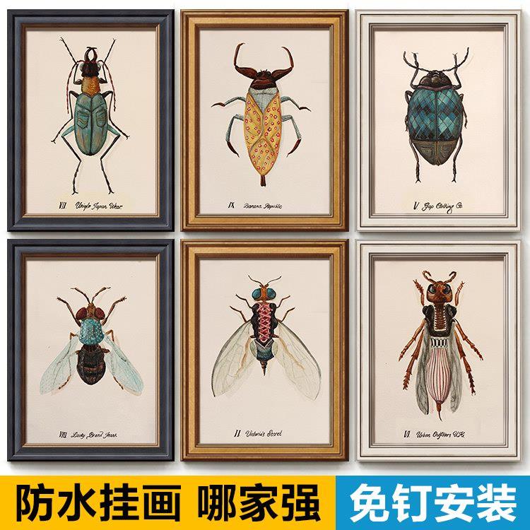 北欧复古动物昆虫甲虫标本插画走廊图书馆墙壁卧室儿童房装饰挂画图片