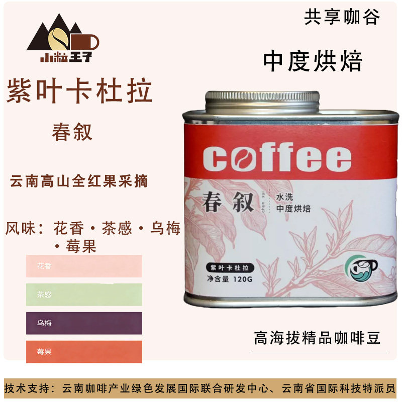 春叙|紫叶卡杜拉咖啡豆 花果香手冲精品云南水洗咖啡单品罐装