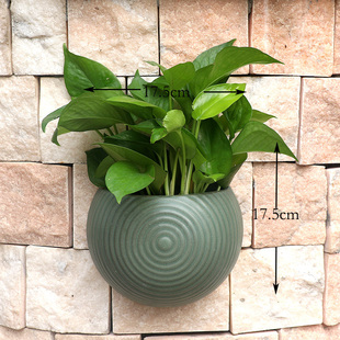 饰 多肉花器装 挂墙水培壁挂花盆陶瓷欧式 创意墙上垂吊盆绿萝悬挂式