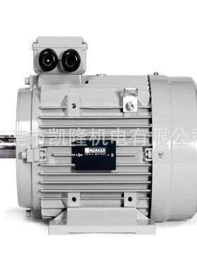 MERKES电机 MPM90L4-B5
