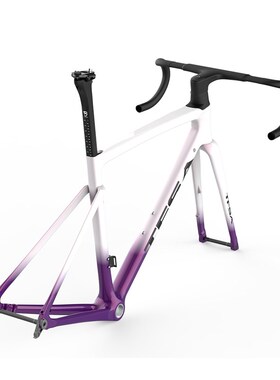 私摸TFSA全内线碟刹碳纤维车架渐变公路自行车框架走内线送腕