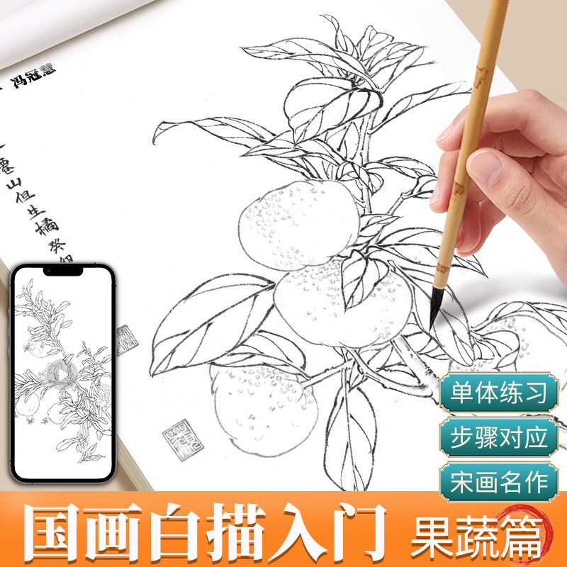 中国画白描入门果蔬篇