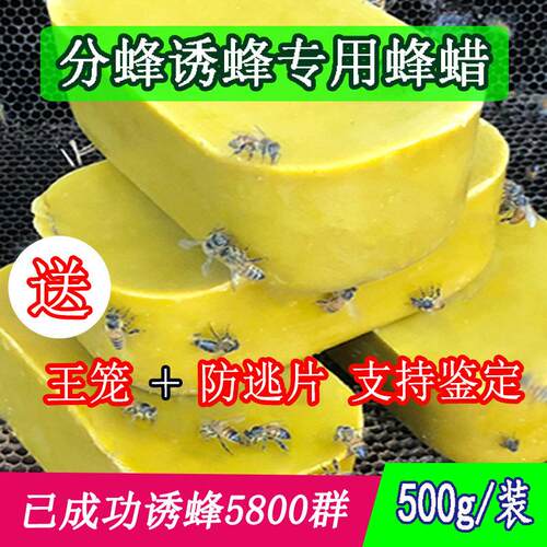 中蜂专用天然蜂蜡 500克野外招蜂引蜂产品 四川出产