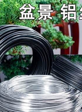 花卉定型铁丝盆景造型盘扎铝线绑丝松树老桩盘景固定树苗果树整形