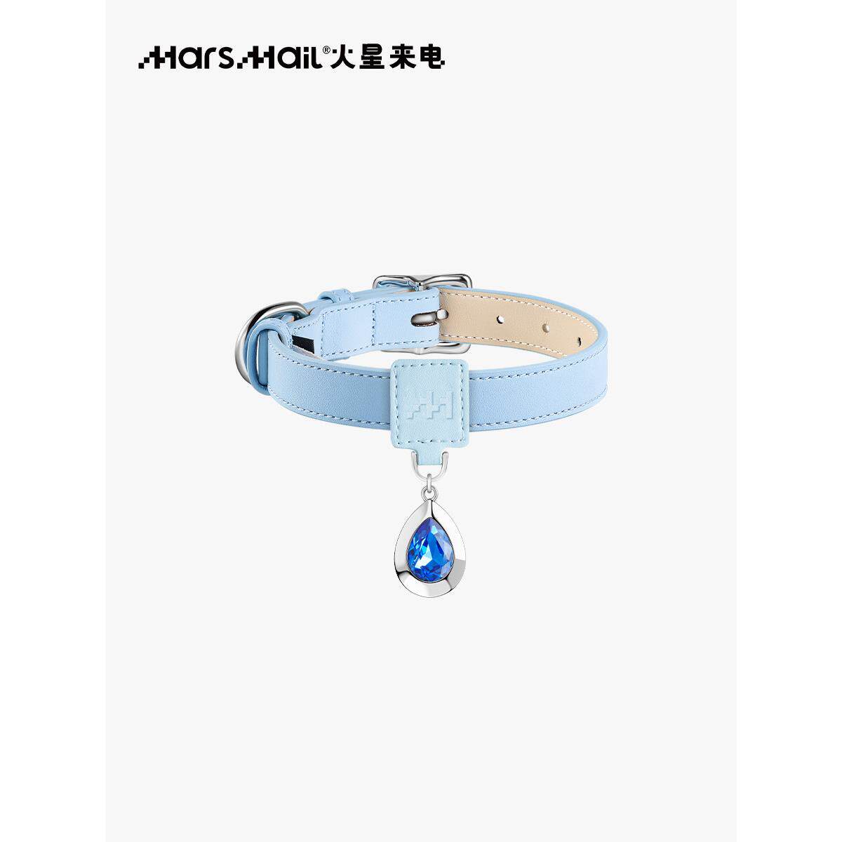 采购产品沼泽宠物项圈吊坠皮带项炼集配件大，中，小尺寸的狗，猫