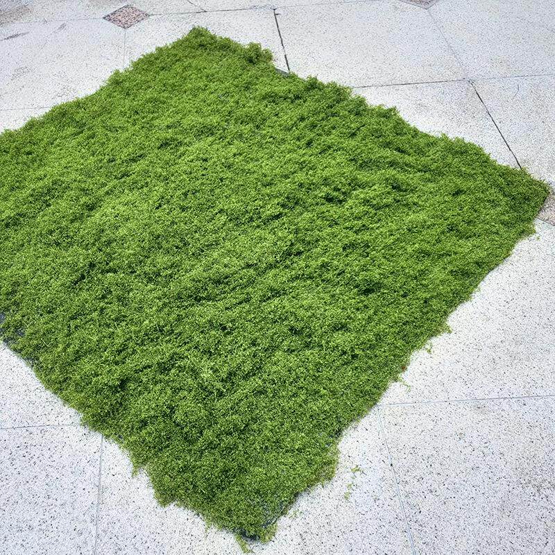 仿真苔藓草皮造景假青苔微景观布置草坪盆景铺面室内造景苔藓草坪