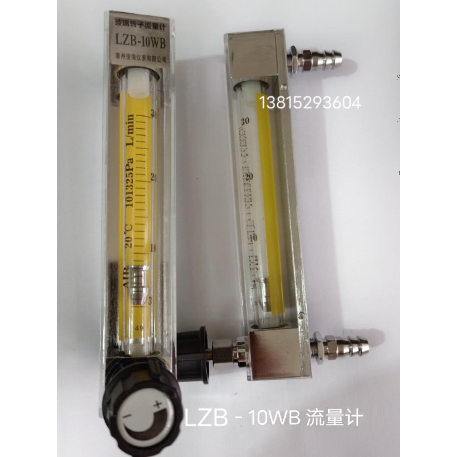 LZB-10WB泰州俊海玻璃转子水处理氮气流量计5-45L- 3-30L/0.1-1L