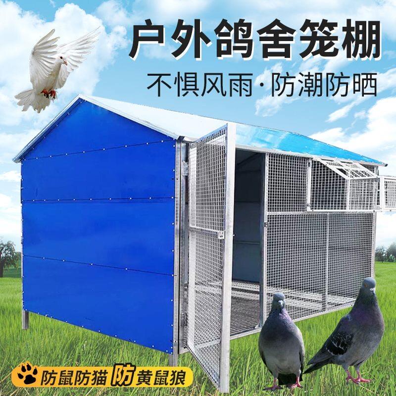鸽笼鸽棚大号家用鸽笼大型鸟笼鹦鹉笼特大养殖繁殖专用笼子鸽子笼