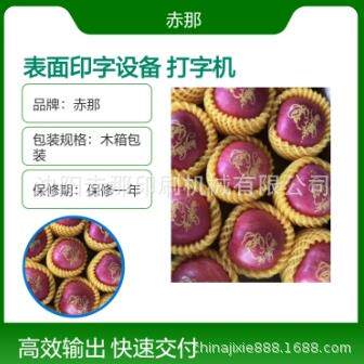 水果表面印字设备 厂家生产各种规格型号苹果打字机 气动移印机