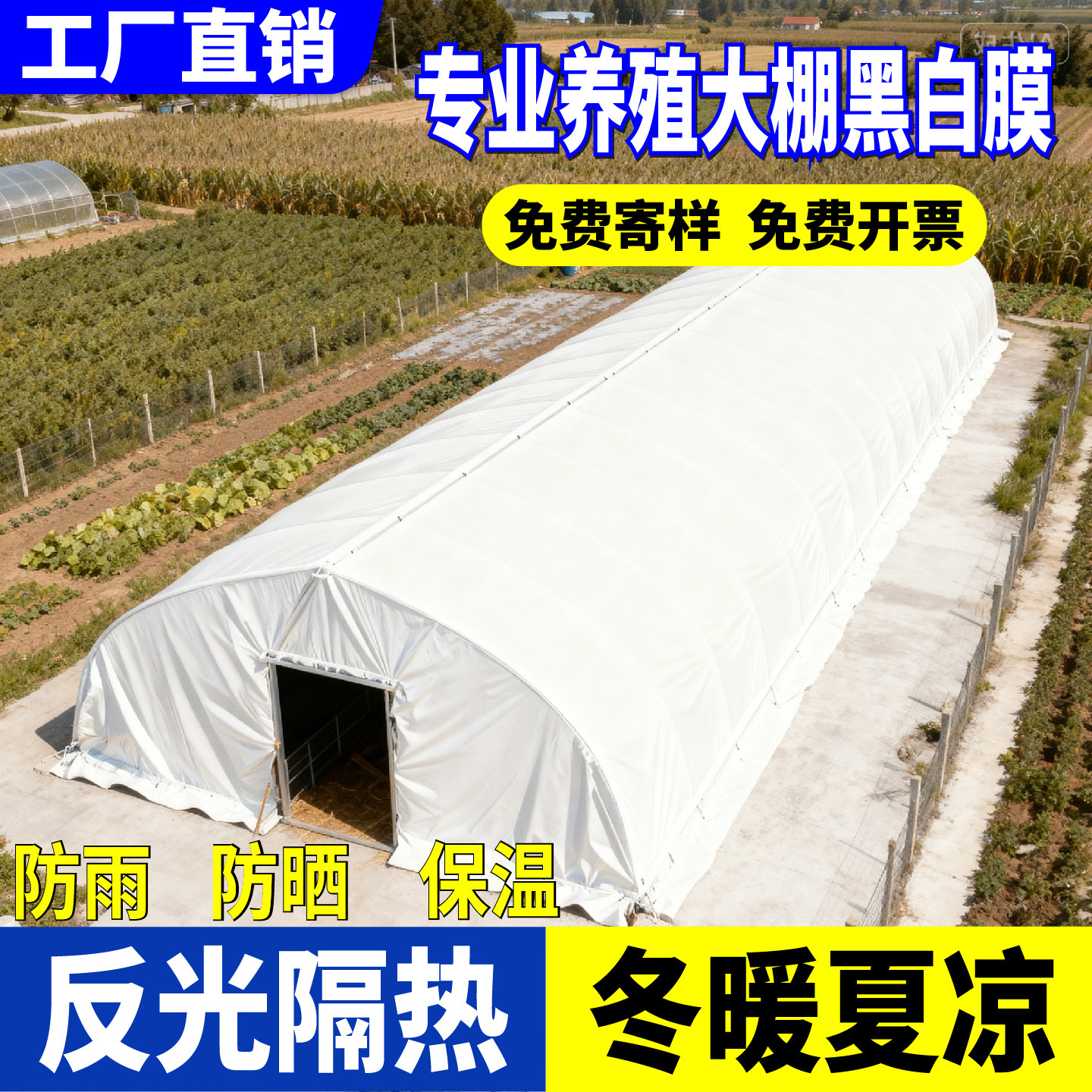 黑白大棚专用膜进口养殖大棚黑白膜反光隔热膜防晒厚塑料布食用菌
