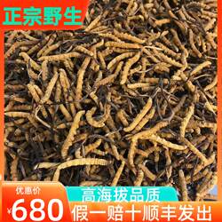 西藏那曲野生冬虫夏草正宗干货那曲比如县虫草4根/1克40根礼盒装