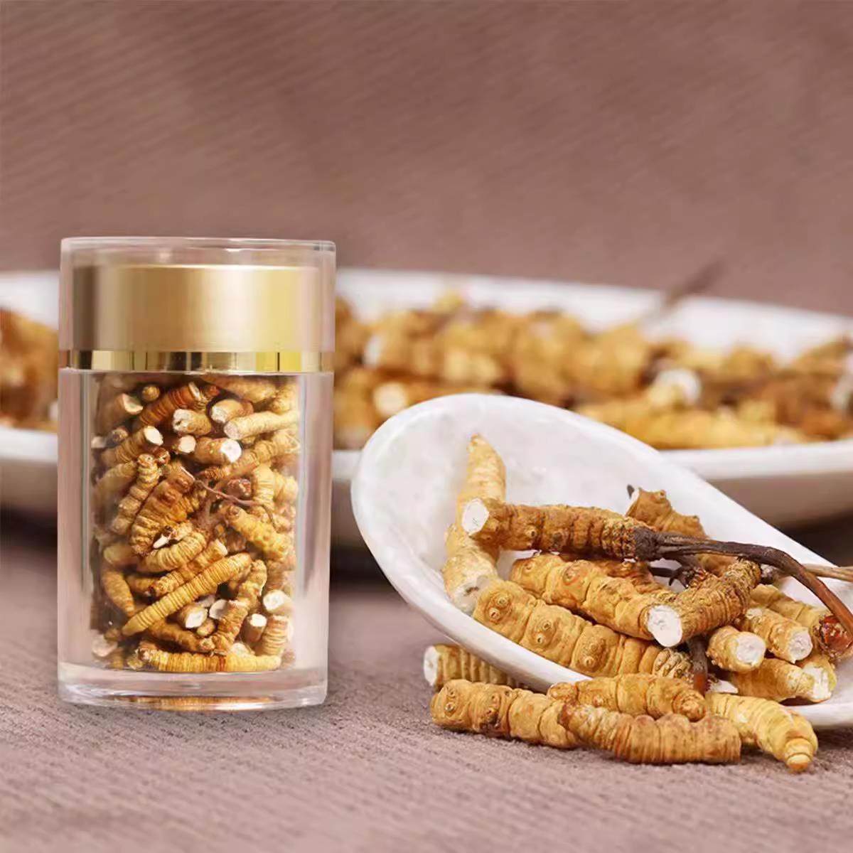 冬虫夏草断草青海玉树5g虫草断草 野生虫草 高海拔虫草