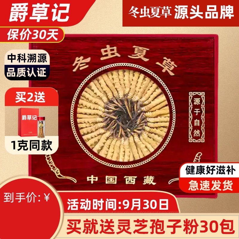 精选冬虫夏草1克青海玉树高海拔 雪山冻干高洁净虫草滋补品