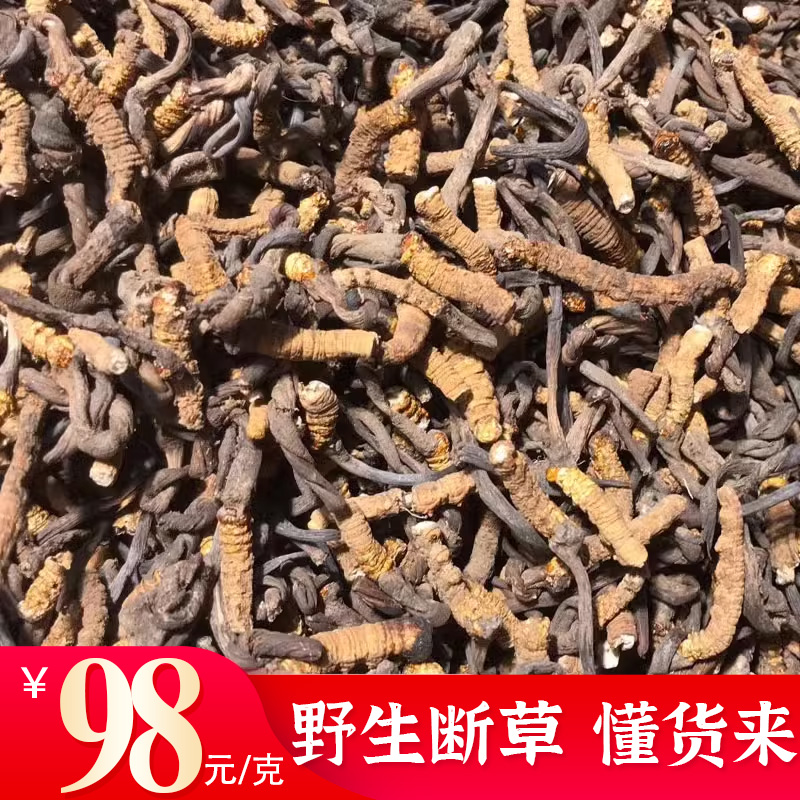 打粉西藏野生那曲冬虫夏草断草碎断虫草青海玉树自用大断草1g