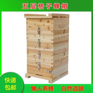 全套杉木土养蜜蜂工具诱蜂桶五层方格子蜂箱 格子箱中蜂蜂箱散装