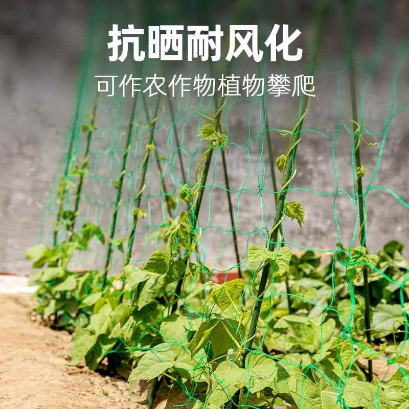 园艺植物爬藤网攀爬种植搭架丝瓜百香果豆角藤蔓花卉网农用葡萄棚