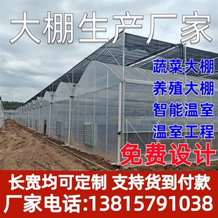 连栋大棚温室大棚钢管骨架定制蔬菜种植养殖大棚薄膜遮阳玻璃温室