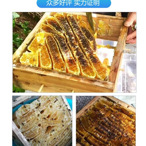 中蜂格子箱煮蜡土养蜜蜂箱2.0加厚全套杉木蜂箱全套蜂桶养蜂工具