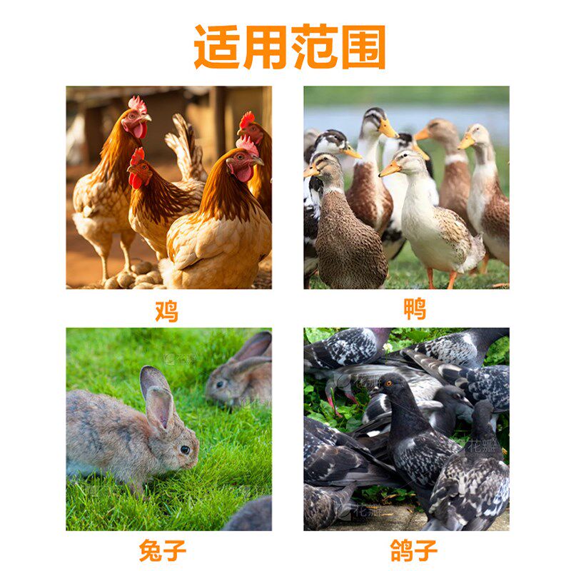 养殖场家用塑料运输笼鸡筐鸡用周转箱成鸡鸭鹅鸽子兔养殖笼塑料筐
