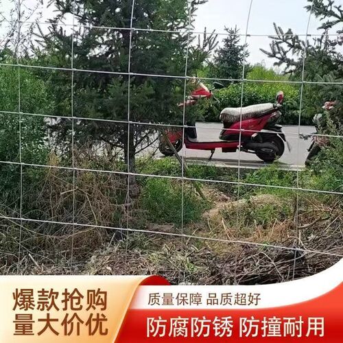 热浸镀锌铁丝网防锈围栏网拦牛羊养殖网牛栏网果园防护网钢丝网