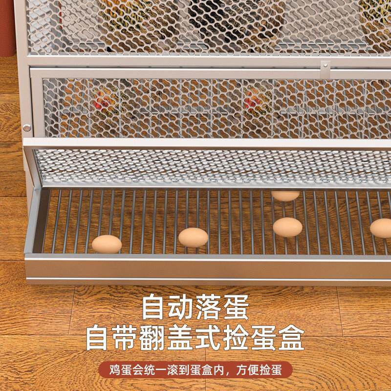 鸡笼子家用室外大号鸡笼鸽笼鸡舍加密网片笼防黄鼠狼自动出蛋鸡笼