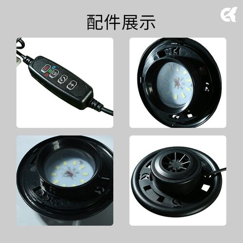 桌面自循环免打理微观生态瓶圆形苔藓diy植物造景玻璃绿植生态缸