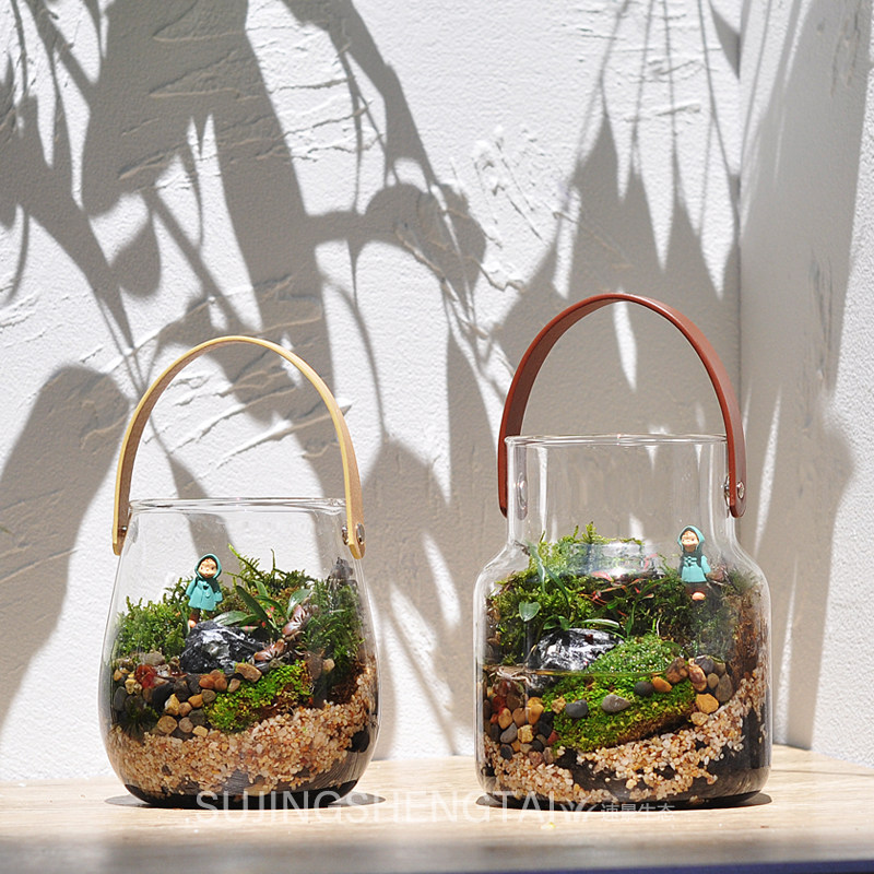 生态瓶观赏鱼缸辣椒蟹苔藓植物微景观桌面鱼虾蟹水陆缸微型景观