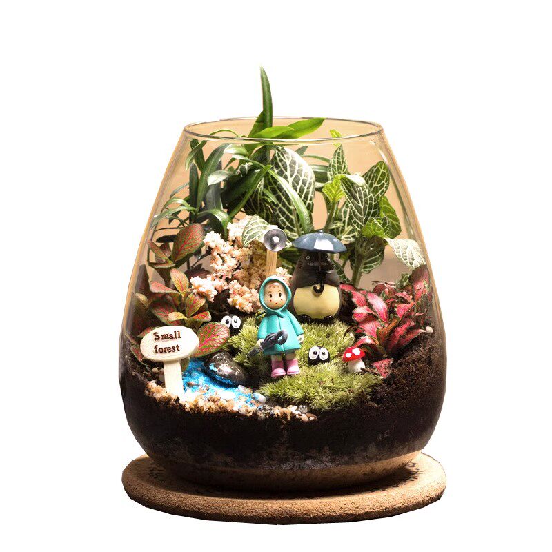 微景观苔藓生态瓶龙猫生日礼物成品桌面绿植养眼