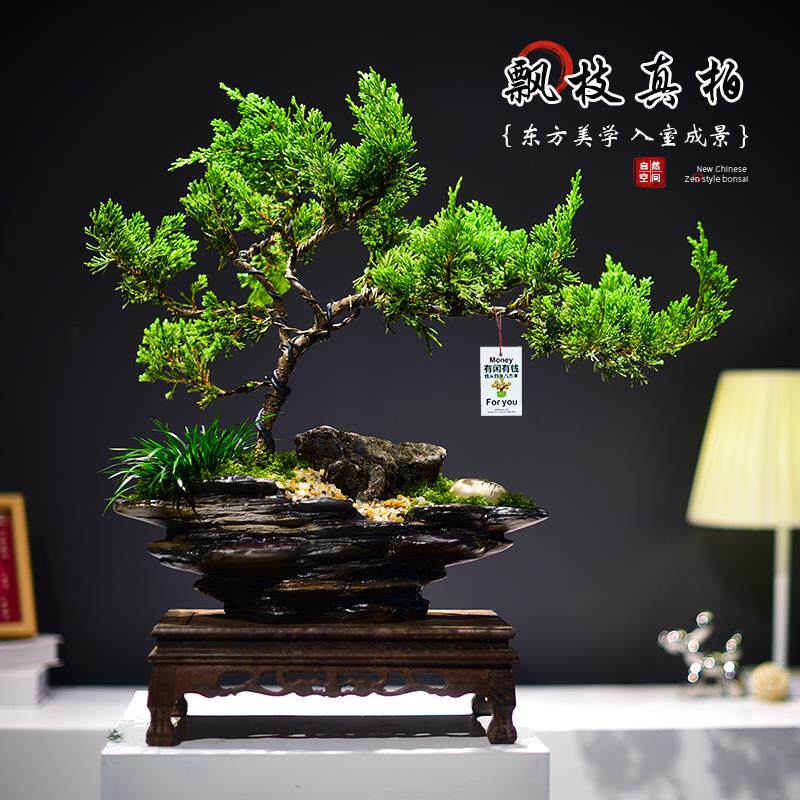 造型飘枝真柏盆景观赏室内绿植迎客柏植物茶室书房文雅盆栽送礼