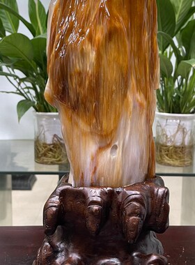 缅甸树化玉奇石天然桌面观赏石木化玉风水家居装饰小摆件镇宅原石