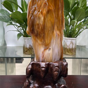 缅甸树化玉奇石天然桌面观赏石木化玉风水家居装饰小摆件镇宅原石