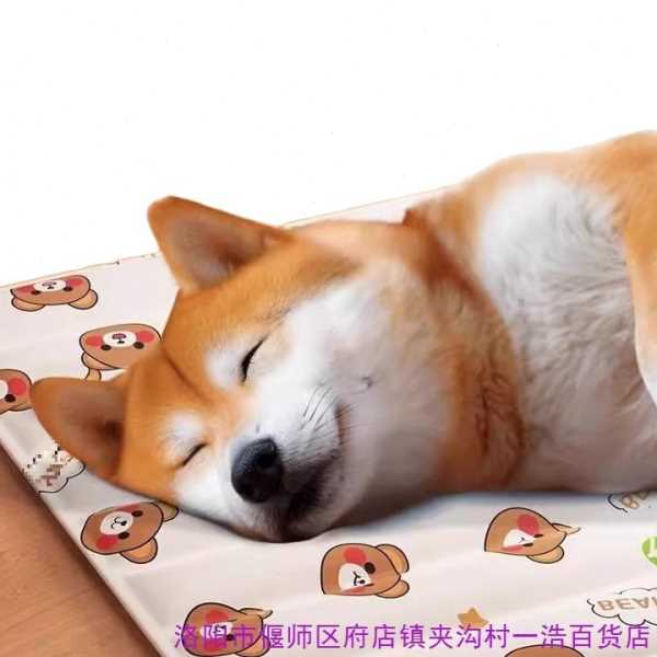 宠物冰垫猫咪夏天清凉窝防暑冰床狗狗窝睡窝凉席垫子夏季降温睡垫
