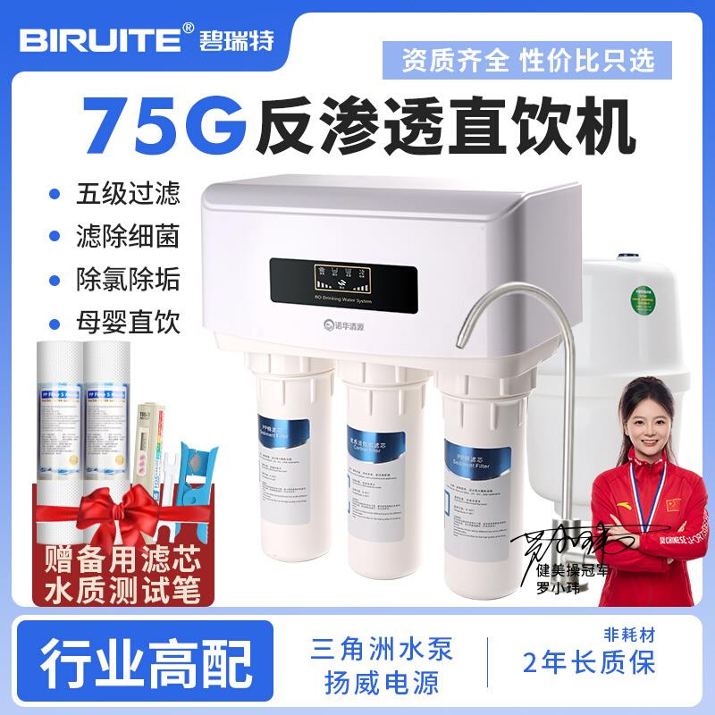 RO反渗透直饮净水器75G五级厨房家用纯水机水批三角洲泵扬威电源