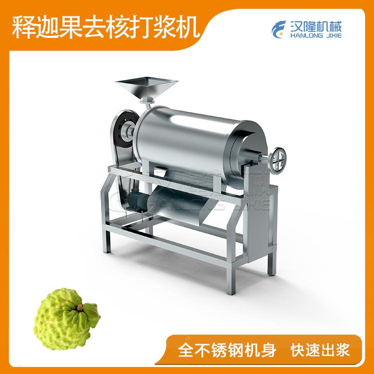 果蔬机械厂家优惠促销释迦果桑葚杨梅枇杷猕猴桃去核水果打浆机