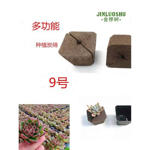 金椤树生物炭绵无土多肉种植栽培基质育苗块老桩仿土营养海绵9号