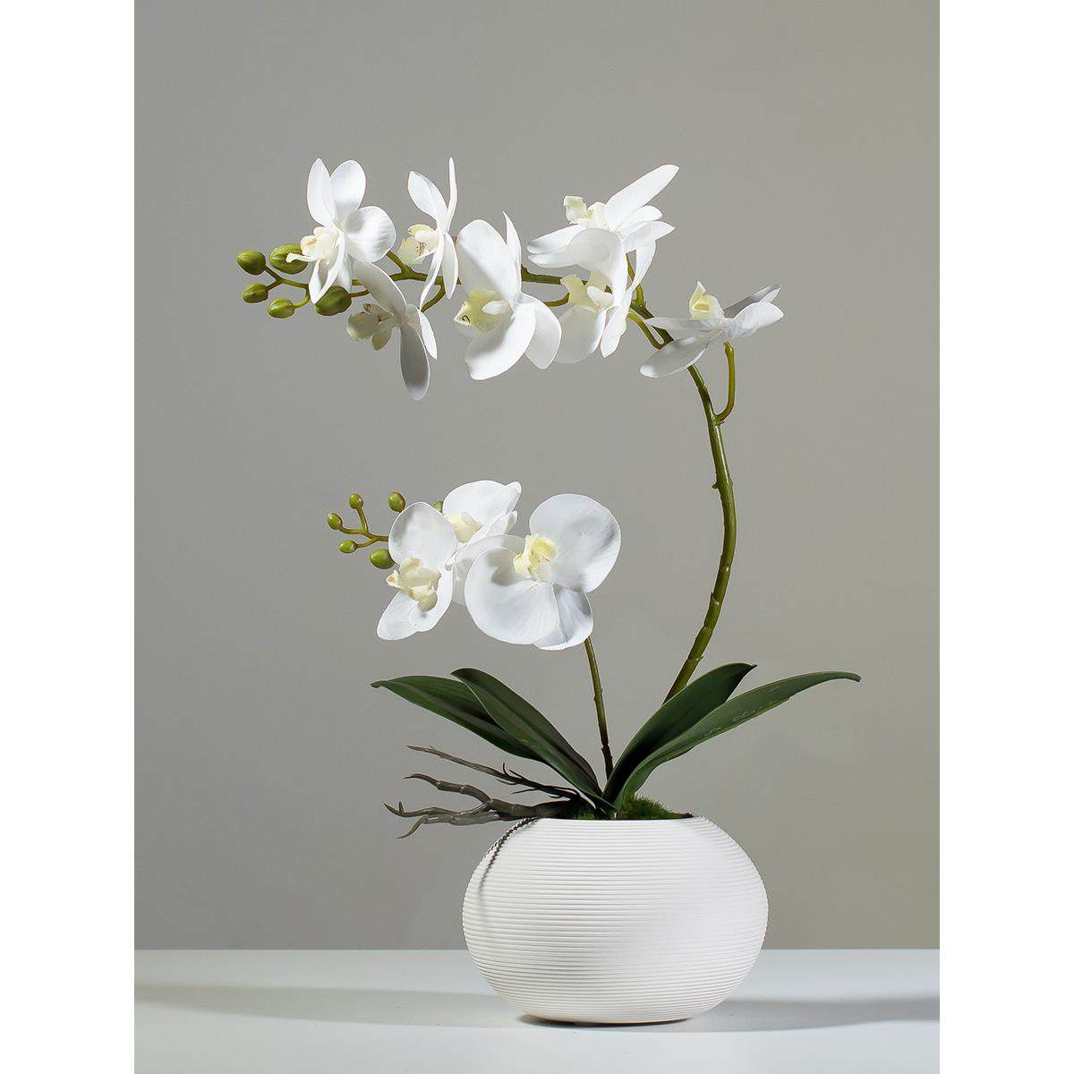 中式仿真蝴蝶兰花艺套装客厅餐桌茶几假花电视柜桌面装饰假花摆件,家居饰品,仿真花/假花,淘宝优惠券,粉丝福利购,淘宝优惠卷