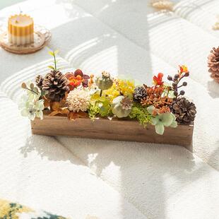 森系圣诞主题摆件松果干花仿真花绿植餐桌橱窗装 阿楹 饰场景布置