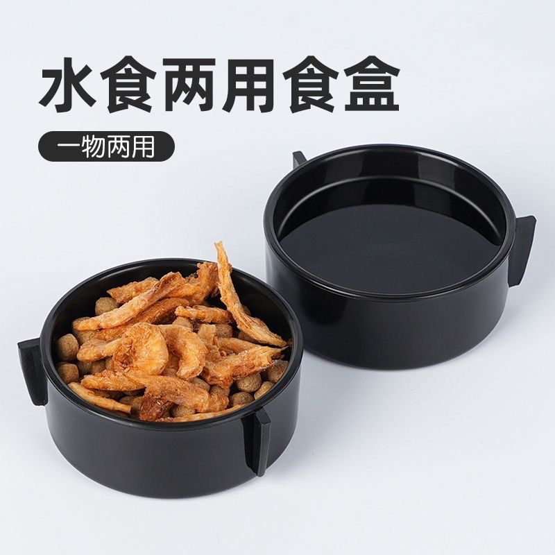 爬宠蛇守宫蜥蜴角蛙甲虫昆虫爬虫