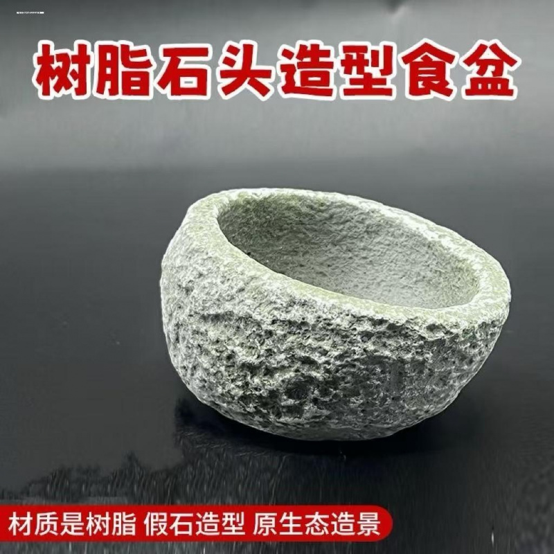 爬宠防逃逸食盆角蛙造景盆寄居蟹