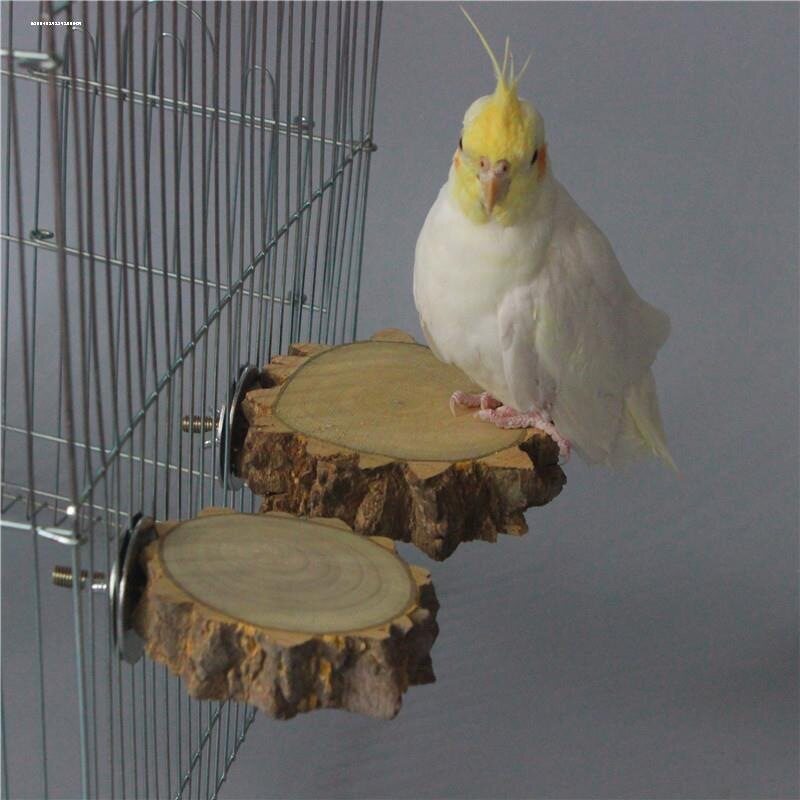 鹦鹉玩具鸟笼装饰虎皮花椒木啃咬图片
